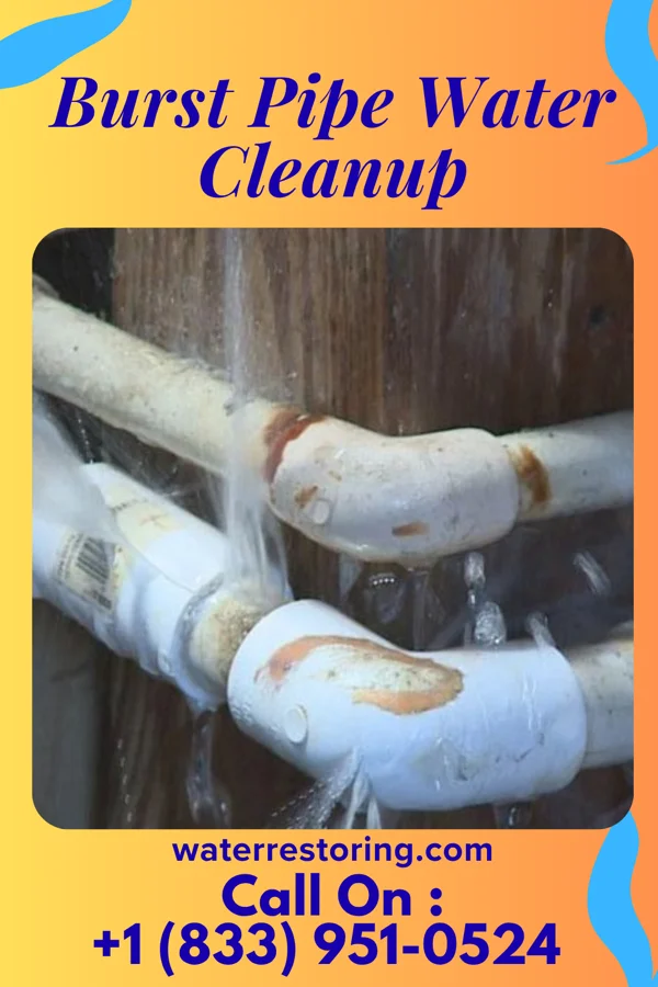 Burst Pipe Water Cleanup in Park Ridge, WI