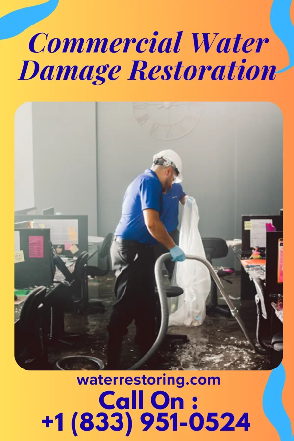 Commercial Water Damage Restoration in Park Ridge, WI